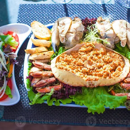 6 By Homing * 阿尔布费拉